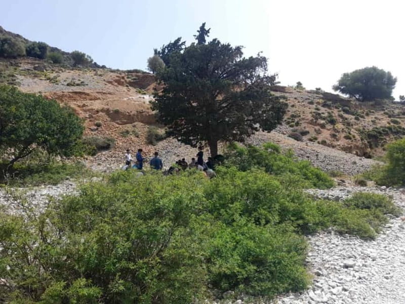From Georgioupoli: Easy Hiking Day-Trip to Imbros Gorge - Francokastello beach time: swim, lunch, and castle views