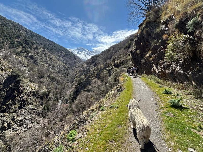 From Granada: High Sierra Nevada hiking experience - Tajos del Campanario: the steep angle that makes the summit views worth it
