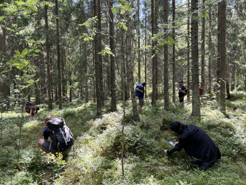 From Helsinki: Hike and Sauna in Sipoonkorpi National Park - From Helsinki meetup to forest day: the Taiga Times flow