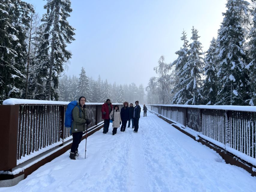 From Helsinki: Hike and Sauna in Sipoonkorpi National Park - What’s included (and how that affects your packing list)