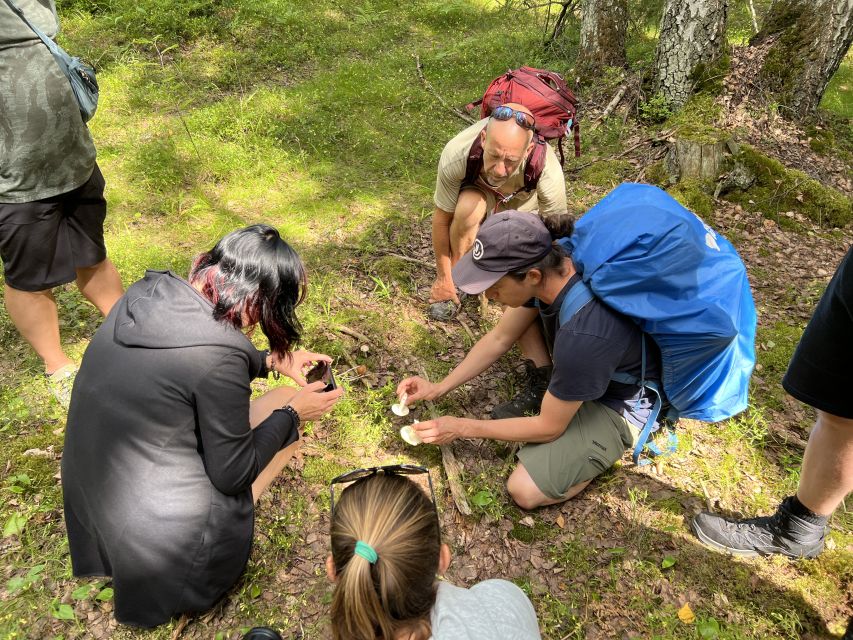 From Helsinki: Hike and Sauna in Sipoonkorpi National Park - Value check: is $194 per person worth it?