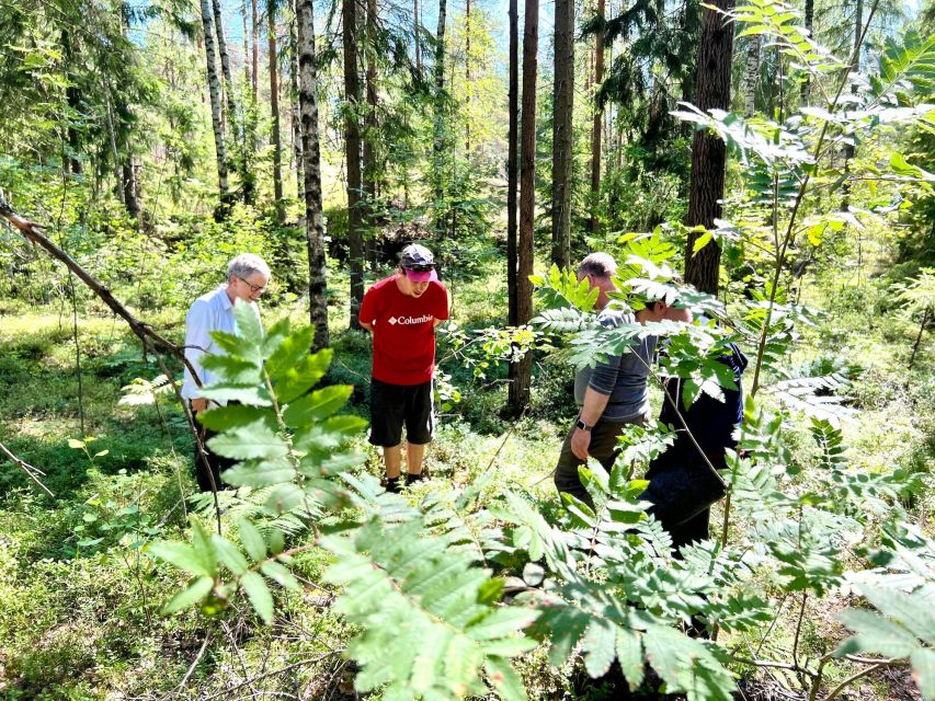From Helsinki: Hike and Sauna in Sipoonkorpi National Park - Sipoonkorpi National Park: hiking through taiga woods at a human pace