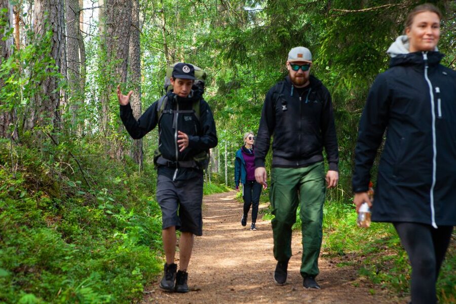 From Helsinki: Magical Taiga Hike in Liesjärvi National Park - The final hour back: one more taste of the park