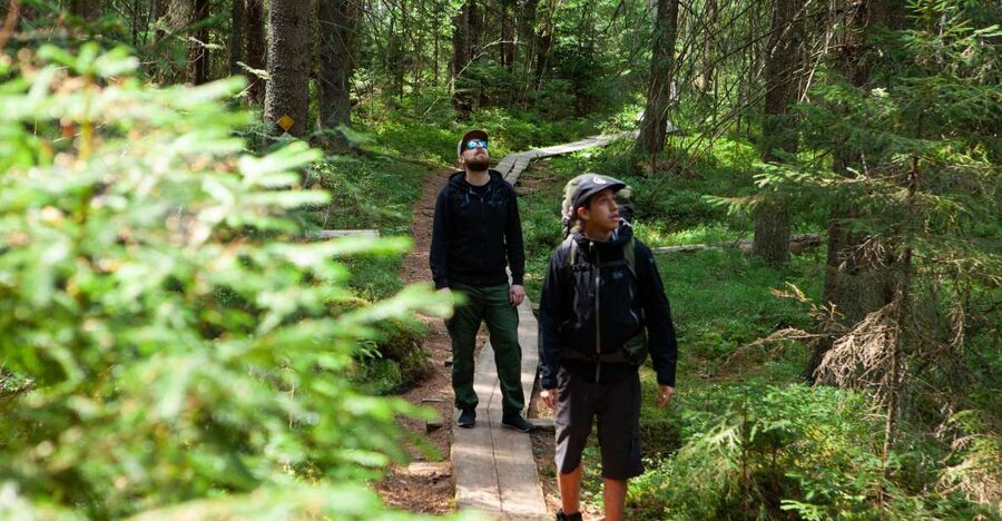 From Helsinki: Magical Taiga Hike in Liesjärvi National Park - Price and value: is $182 worth it?