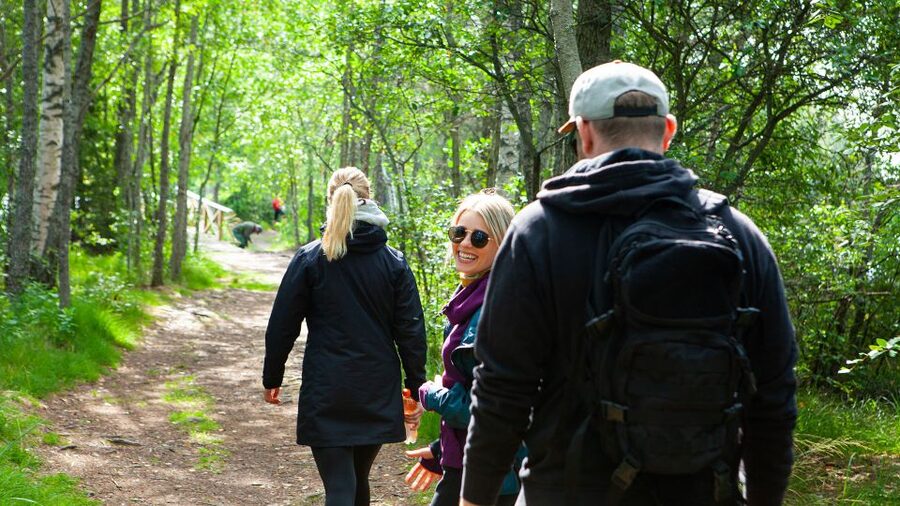 From Helsinki: Magical Taiga Hike in Liesjärvi National Park - Getting there from Helsinki: comfortable transport, simple start