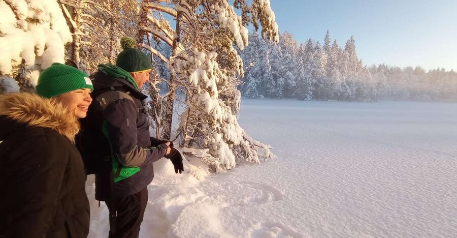 From Helsinki: Nuuksio National Park Hiking Tour with Food - Breaks that actually teach you something: glögi, syrup, and forest snacks