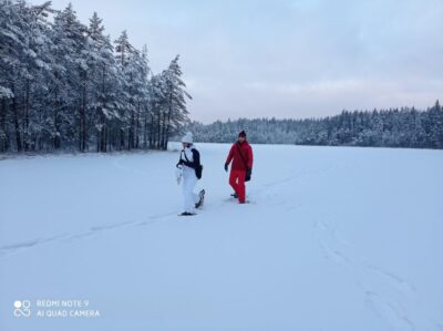 From Helsinki: Nuuksio National Park Hiking Tour with Food - The Taiga walk: snowshoes in winter, berry-and-mushroom season when it’s warm