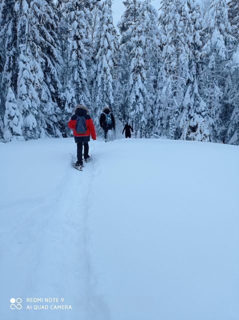 From Helsinki: Nuuksio National Park Hiking Tour with Food - Should you book this Nuuksio hiking + food tour?