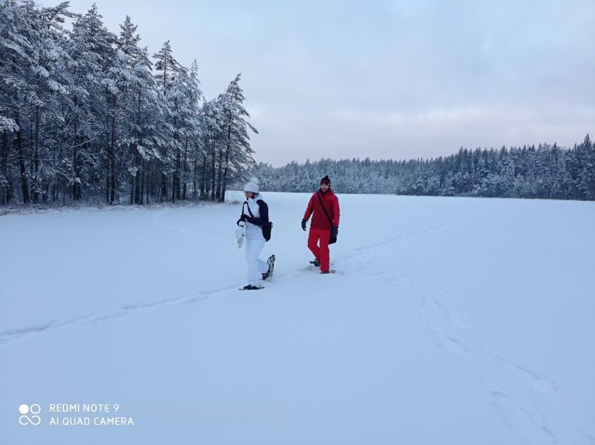 From Helsinki: Nuuksio National Park Hiking Tour with Food - The Taiga walk: snowshoes in winter, berry-and-mushroom season when it’s warm