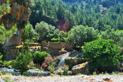 From Heraklion: Samaria Gorge & Agia Roumeli Hiking Day Trip - Morning pickup and the long scenic drive toward the gorge