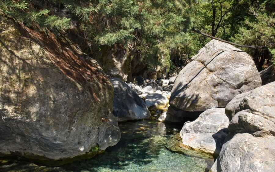 From Heraklion: Samaria Gorge Full-Day Guided Hiking Tour - Entering the gorge: river trails, forests, and staying on pace