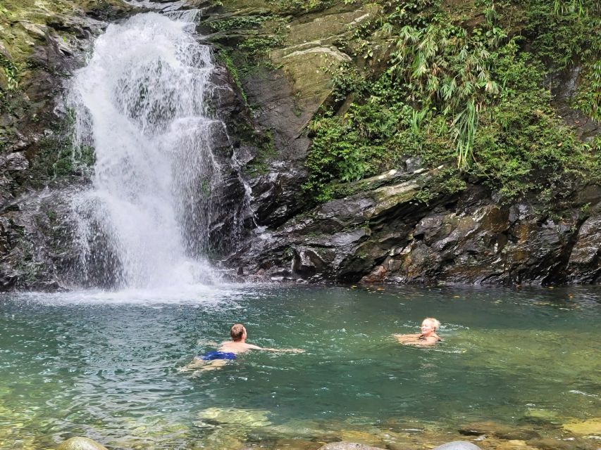From Hue: Bach Ma National Park Hiking Day Trip with Pickup - Who this Bach Ma hike suits (and who should skip it)
