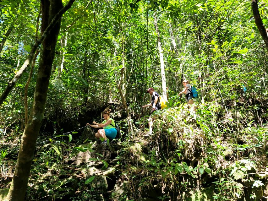 From Hue: Bach Ma National Park Hiking Day Trip with Pickup - Tea, coffee, and picnic lunch: fuel for the trail, not just a break