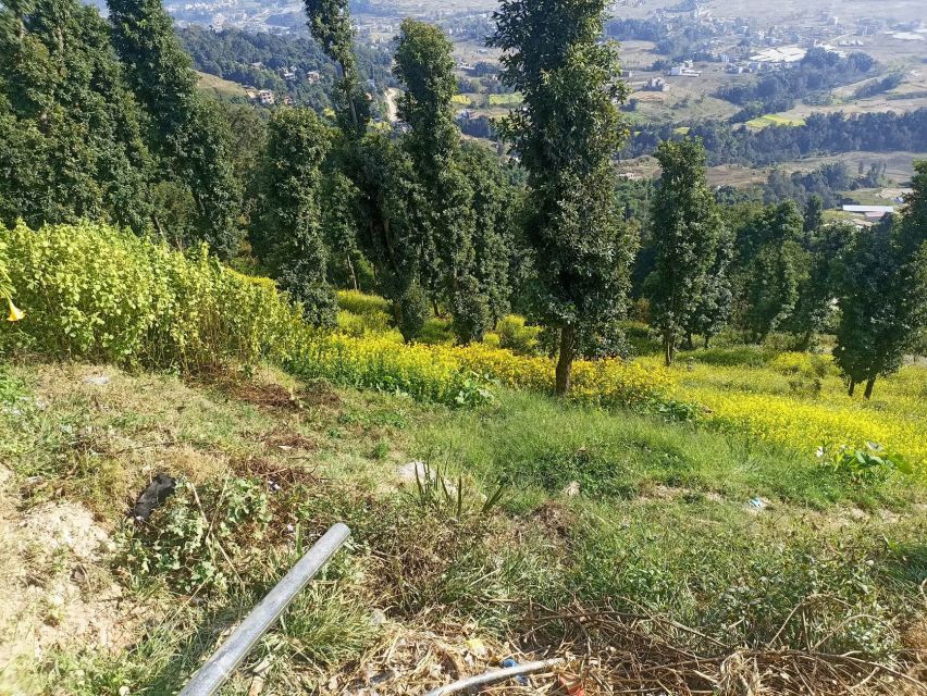 From Kathmandu: Everest View from Nagarkot & hike to Changu - Price and logistics: does $43 actually deliver good value?