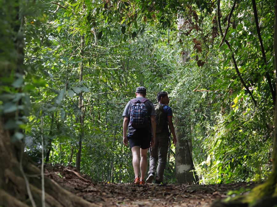 From Khao Lak: Khao Sok Jungle Hike & River Tour - Sok River bamboo raft ride: scenery, calm, and that bamboo-cup stop