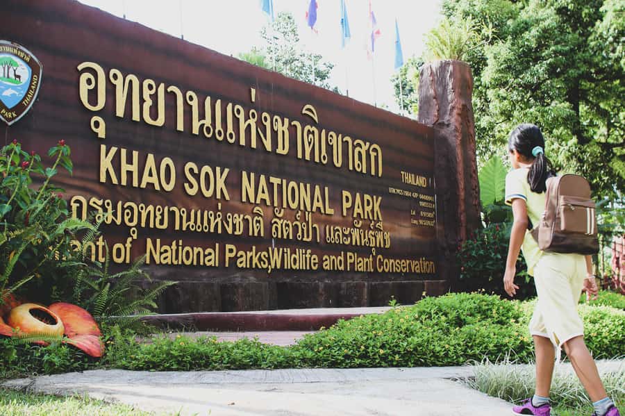 From Khao Lak: Khao Sok Jungle Hike & River Tour - How hard is it really: who should book, and who should reconsider