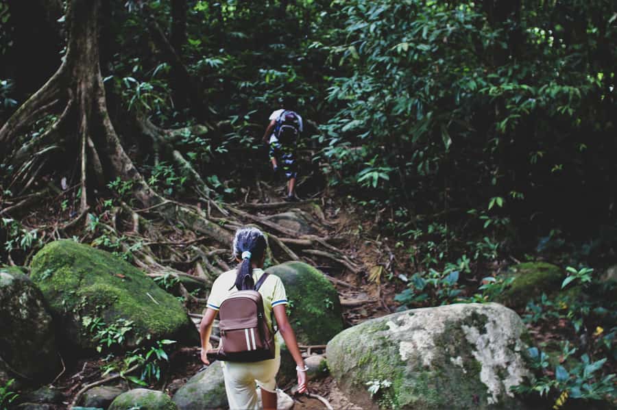 From Khao Lak: Khao Sok Jungle Hike & River Tour - Cooling off in the freshwater stream: a smart break halfway through
