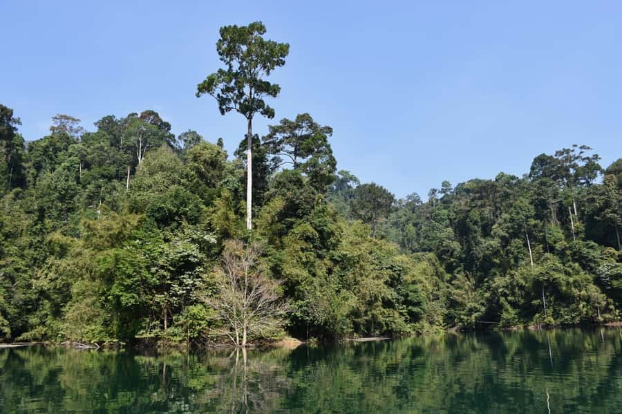 From Krabi: Cheow Lan Lake Cruise and Khao Sok Jungle Hike - Getting Out of Krabi: The Drive Toward Khao Sok’s Water World