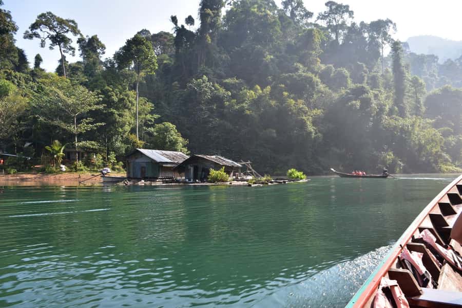 From Krabi: Cheow Lan Lake Cruise and Khao Sok Jungle Hike - The Khao Sok Jungle Hike: What the Trail Is Like in Real Life