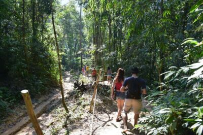 From Krabi: Cheow Lan Lake Cruise and Khao Sok Jungle Hike - Longtail Boat on Cheow Lan Lake: Limestone Cliffs, 100 Islands, and Real Green Water
