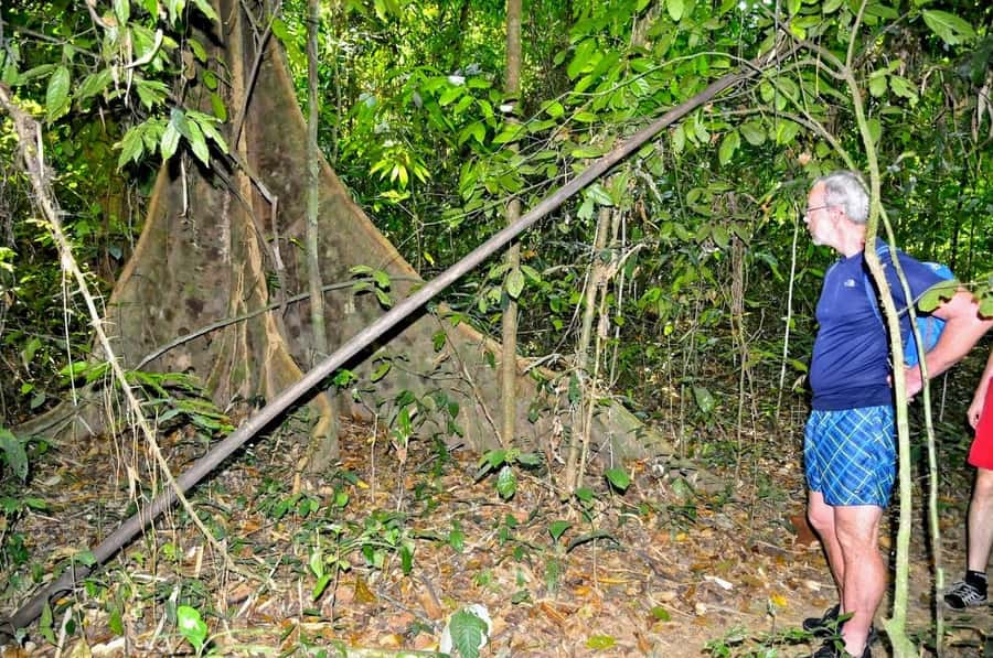 From Krabi: Cheow Lan Lake Cruise and Khao Sok Jungle Hike - Swimming and Kayaking in the Emerald Water: How Much Time You Really Get