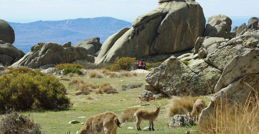 From Madrid: Sierra de Guadarrama Hiking Day Trip - From Sol to the Sierra: The drive that feels like a teleport