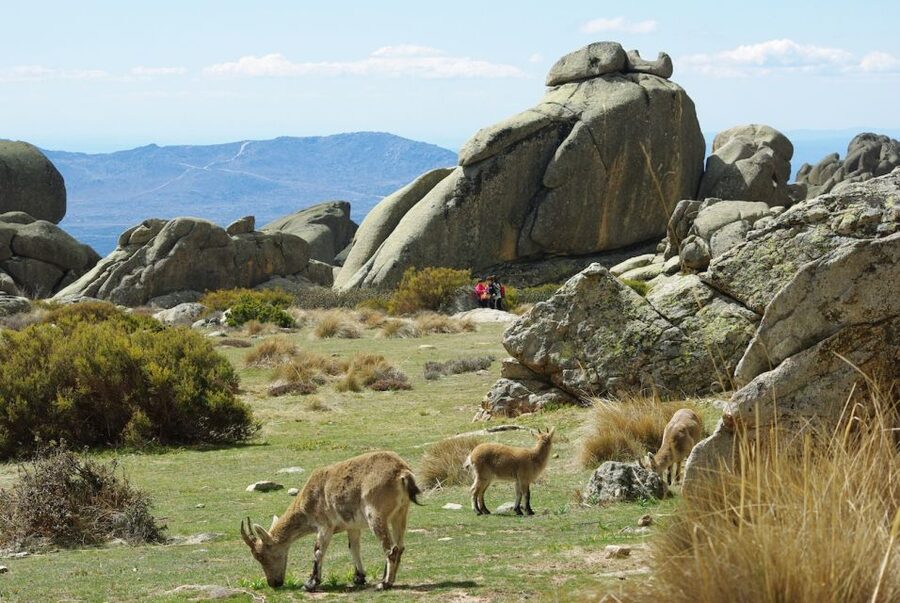 From Madrid: Sierra de Guadarrama Hiking Day Trip - Picking the trail: pace control and weather-smart route choices