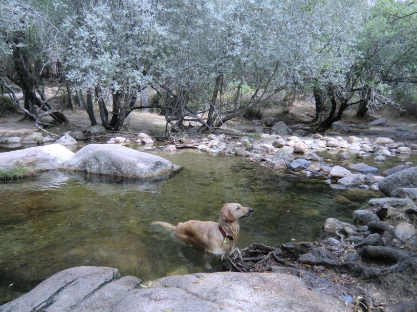 From Madrid: Sierra de Guadarrama Hiking Day Trip - What’s included (and why it adds value)