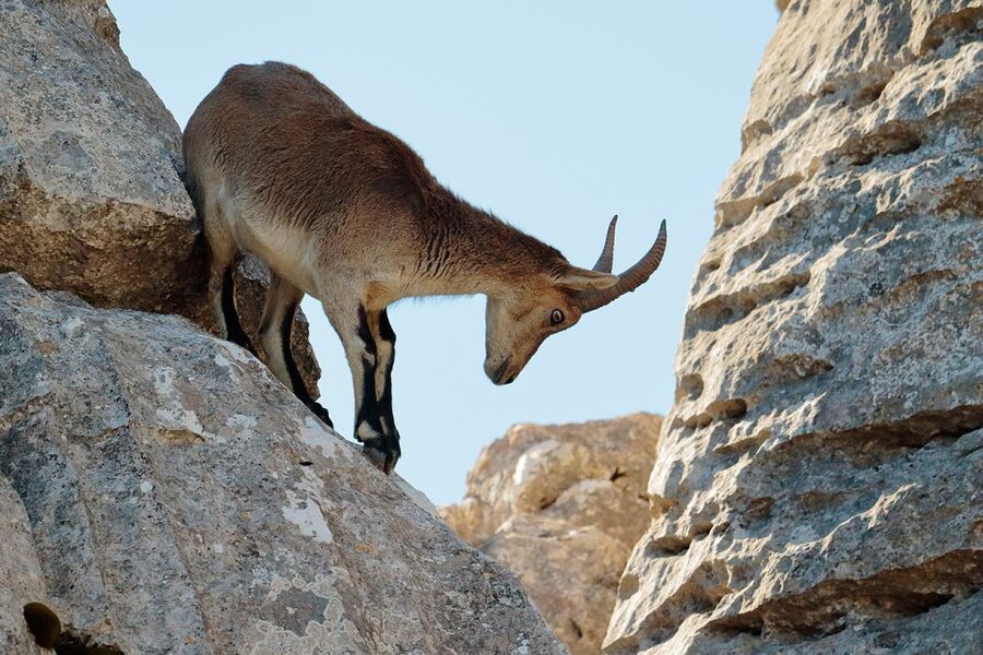 From Malaga: Torcal de Antequera Hiking Tour - The 3-hour guided hike: what the walking time really means
