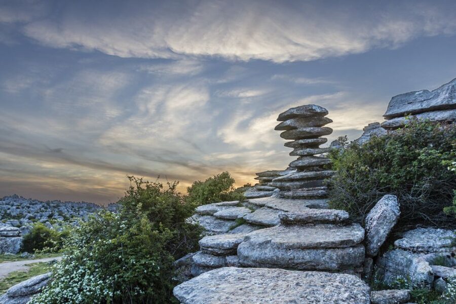 From Malaga: Torcal de Antequera Hiking Tour - Wildlife sightings: vultures, goats, reptiles, and foxes
