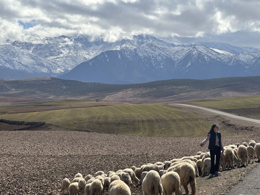 From Marrakech: Atlas Mountains 4-Day Hike with Hotels - The 4-Day Flow: Valleys, Passes, and Guesthouses