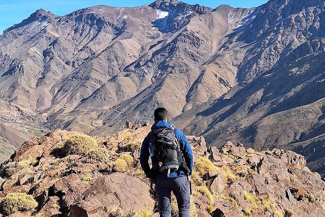 From Marrakech: Atlas Mountains Day Hike Experience - Small-group touring: why max 12 feels better than you expect
