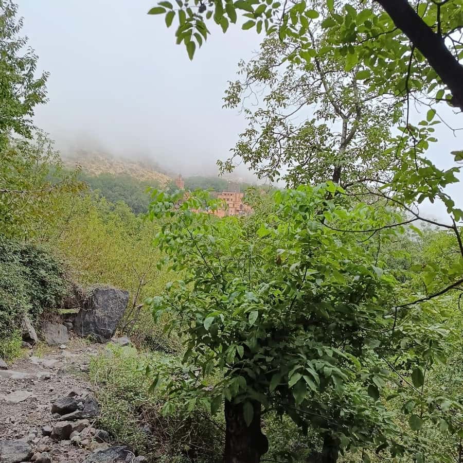 From Marrakech: Atlas Mountains Summit Trek - The women’s argan cooperative: a culture stop with mint tea and context