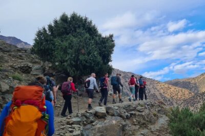 From Marrakech: Atlas Mountains Talamrout Summit day hike & Trek - Tamatert Valley villages: targa Imoula and Tamatert