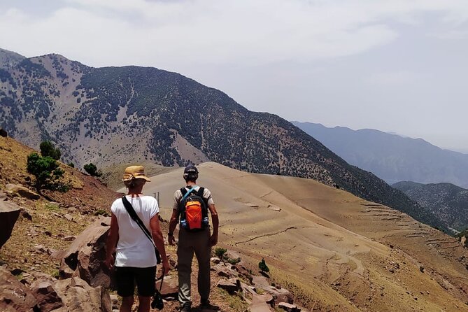 From Marrakech: Atlas Mountains Talamrout Summit day hike & Trek - Lunch on the descent: vegetarian options and real mountain hospitality