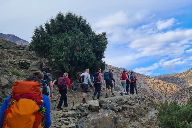 From Marrakech: Atlas Mountains Talamrout Summit day hike & Trek - Tamatert Valley villages: targa Imoula and Tamatert
