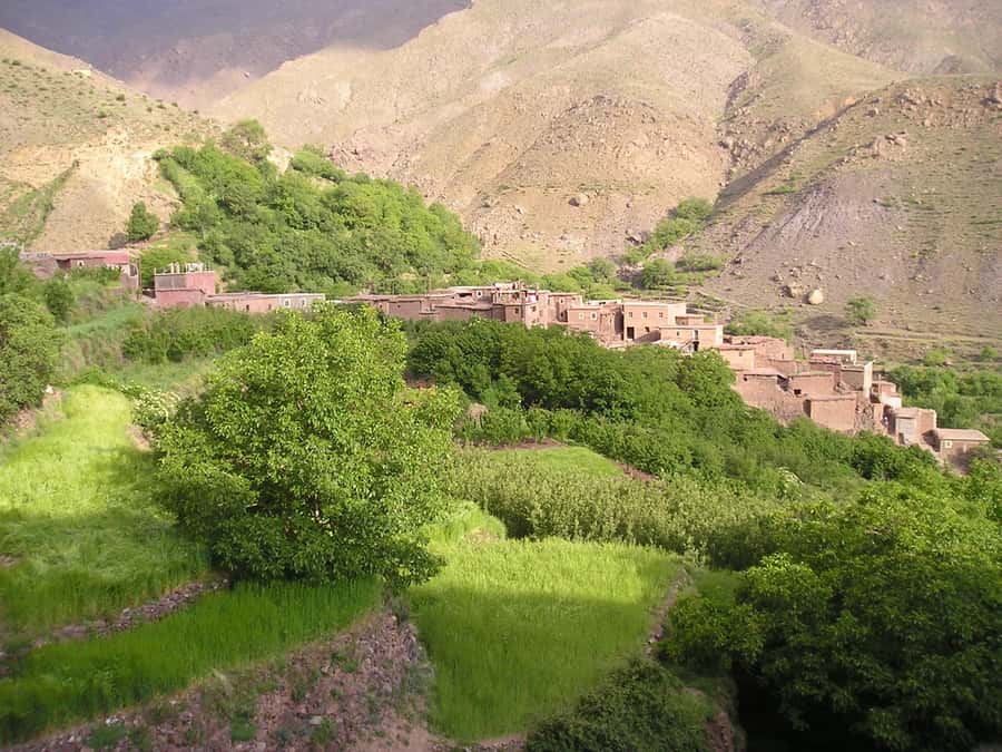 From Marrakech: Ourika Valley Trip, Waterfall Hike & Lunch - Lunch by the Ourika River: the break that matters