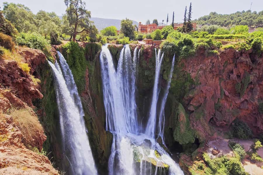 From Marrakech: Ouzoud Waterfalls Guided Hike and Boat Tour - The Barpary Monkeys Rulebook: Cute Photos With Serious Boundaries