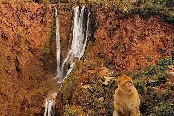 From Marrakech: Ouzoud Waterfalls Guided Hike and Boat Trip - The Boat Ride at the Base: Close-Up Water Power