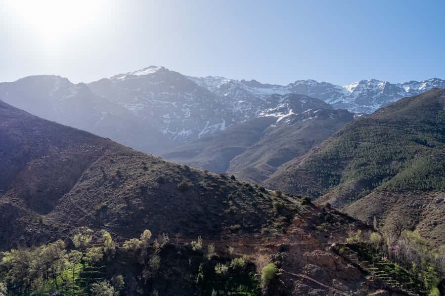 From Marrakesh: Atlas Mountains Talamrout Summit Day Hike - Why the Talamrout Summit Hike Works as a One-Day Atlas Fix
