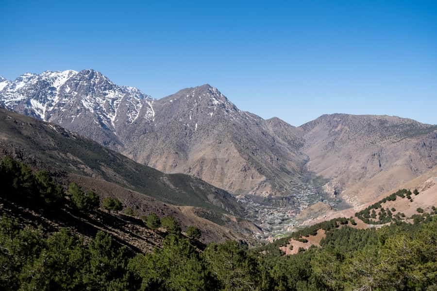 From Marrakesh: Atlas Mountains Talamrout Summit Day Hike - Price and Value: Is $45 a Good Deal for This Day?