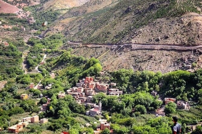 From Marrakesh: Zip-Line & Hike in the Atlas Mountains - Argan oil, bread, and oil tasting: the stop that makes the day feel real
