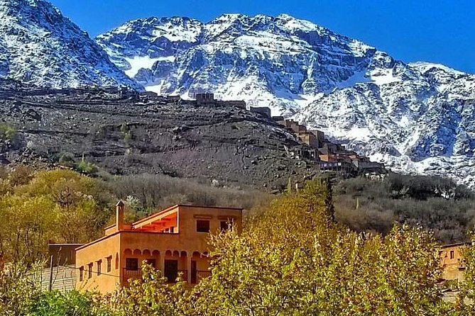 From Marrakesh: Zip-Line & Hike in the Atlas Mountains - Getting out of Marrakesh: pickup, van time, and early momentum