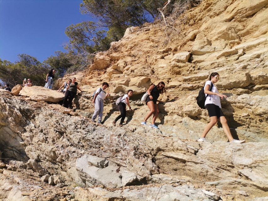 From Marseille: Calanques National Park Guided Hike - Price and value: why $41 can make sense here