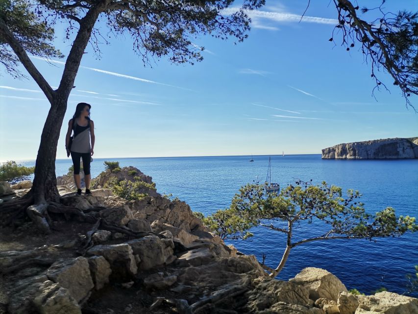 From Marseille: Calanques National Park Guided Hike - What the scenery feels like: limestone cliffs meet pine air