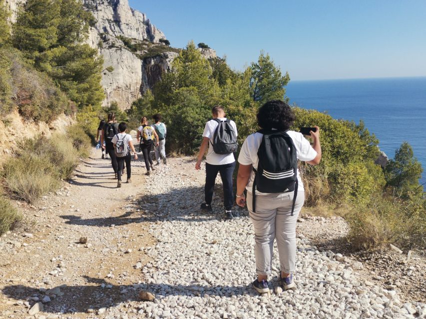 From Marseille: Calanques National Park Guided Hike - The beach chapter: picnic lunch, swim time, and cold-water reality