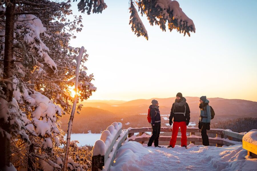 From Montreal: Mont-Tremblant National Park Hiking Day Trip - Choosing your trail: river paths, viewpoints, and a waterfall target