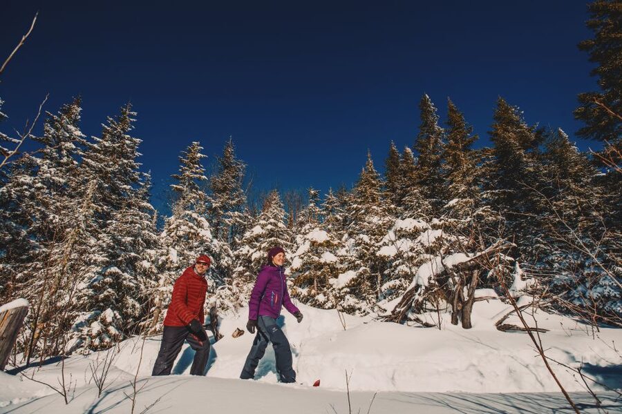 From Montreal: Mont-Tremblant National Park Hiking Day Trip - What the hike feels like (and what you should bring)