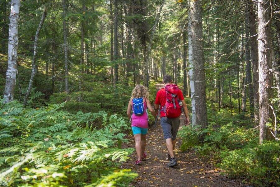 From Montreal: Mont-Tremblant National Park Hiking Day Trip - Price and value: why $72 can work well