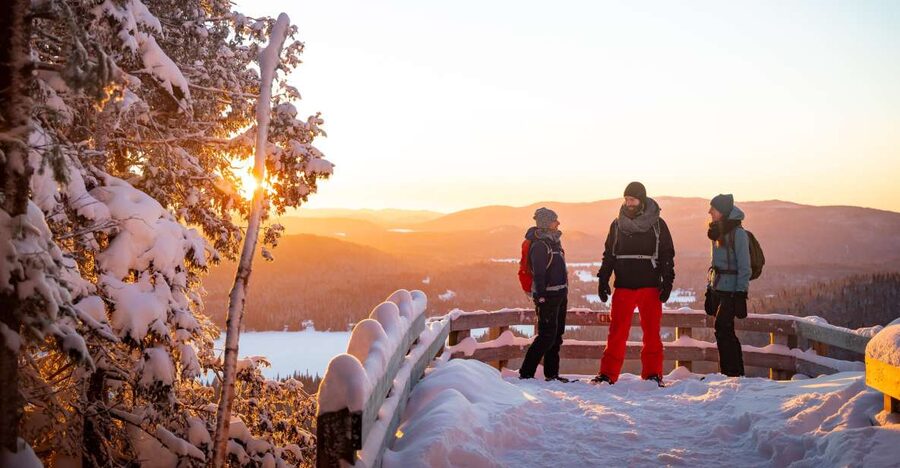From Montreal: Mont-Tremblant National Park Hiking Day Trip - Meeting the guide: your head start before boots hit trail